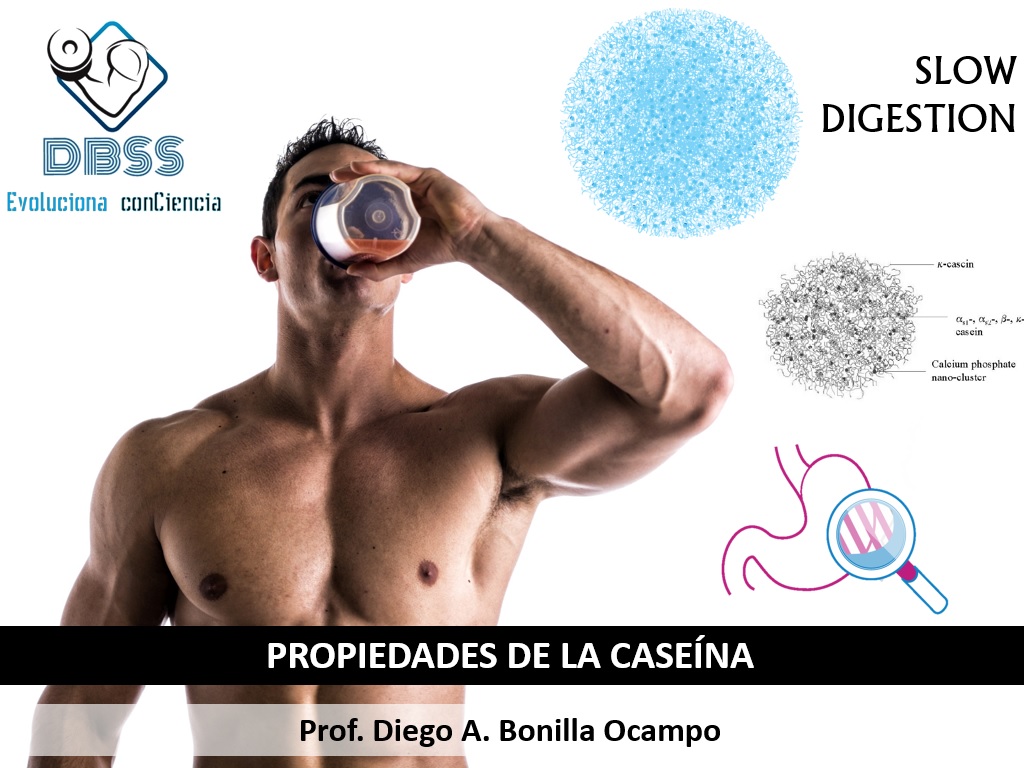 Propiedades de la Caseína