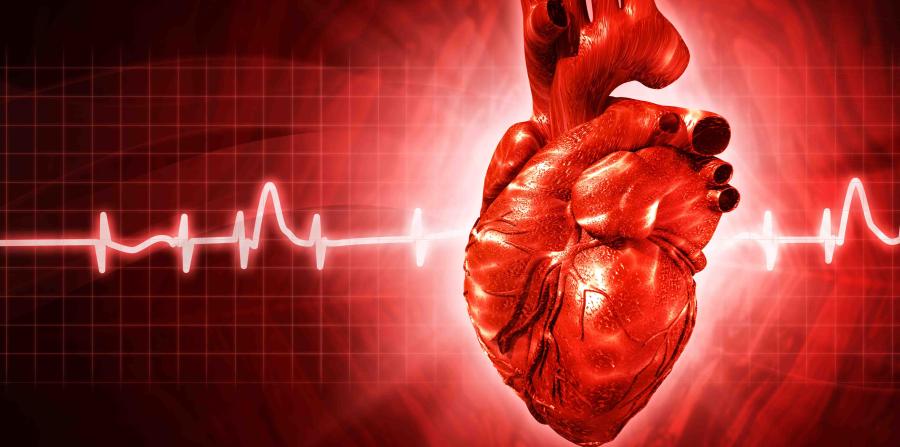 Disfunción Ventricular post ejercicios extenuantes: ¿Qué sabemos hoy de la Fatiga Cardiaca?