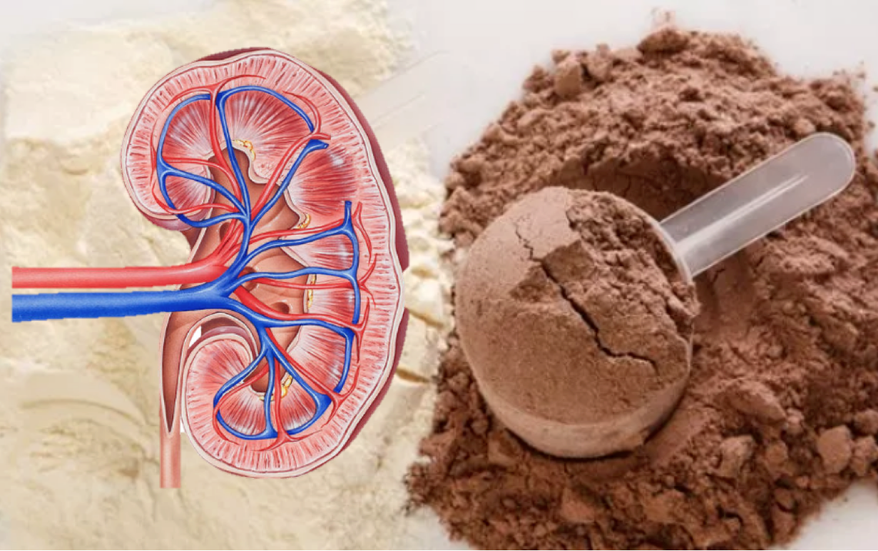 Proteínas y daño renal