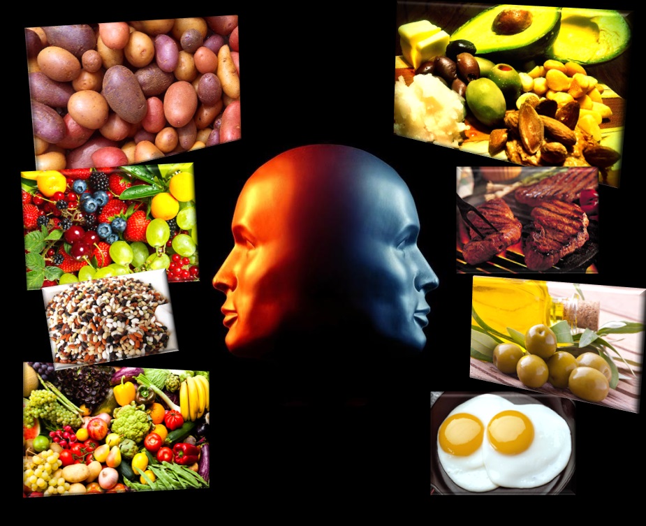 Las indecisiones mitocondriales en cuanto a utilización de nutrientes (octubre 2017)