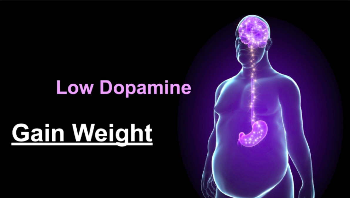 Dopamina y fructosa en la obesidad