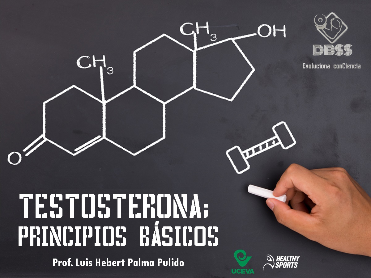 TESTOSTERONA; PRINCIPIOS BÁSICOS