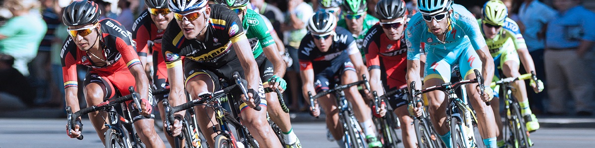 Especialista en Ciclismo de Carretera y BTT Especialista en Ciclismo de Carretera y BTT