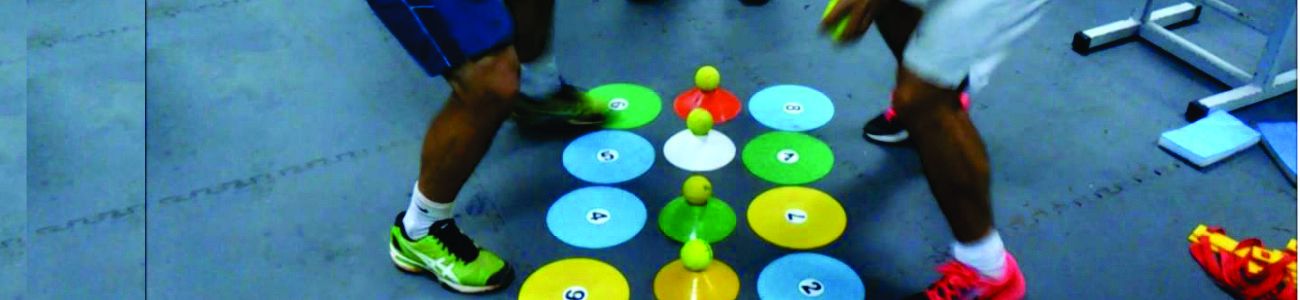 Neurociencias Aplicadas al Movimiento - Modelo de Intervención Multisensorial (MIMuS) Neurociencias Aplicadas al Movimiento - Modelo de Intervención Multisensorial (MIMuS)