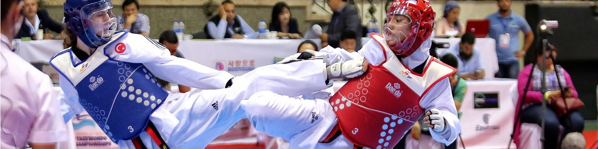Táctica y Estrategia en Taekwondo Táctica y Estrategia en Taekwondo