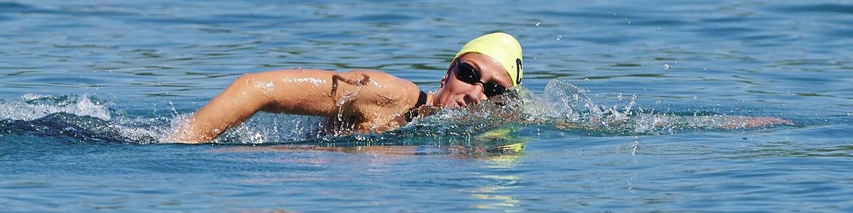 Especialista en Natación de Alto Rendimiento Especialista en Natación de Alto Rendimiento
