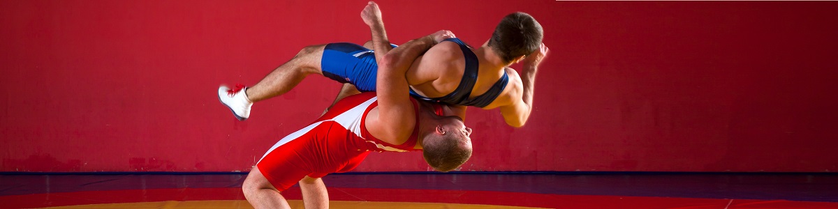 Curso de Introducción al Entrenamiento para Deportes de Combate Curso de Introducción al Entrenamiento para Deportes de Combate