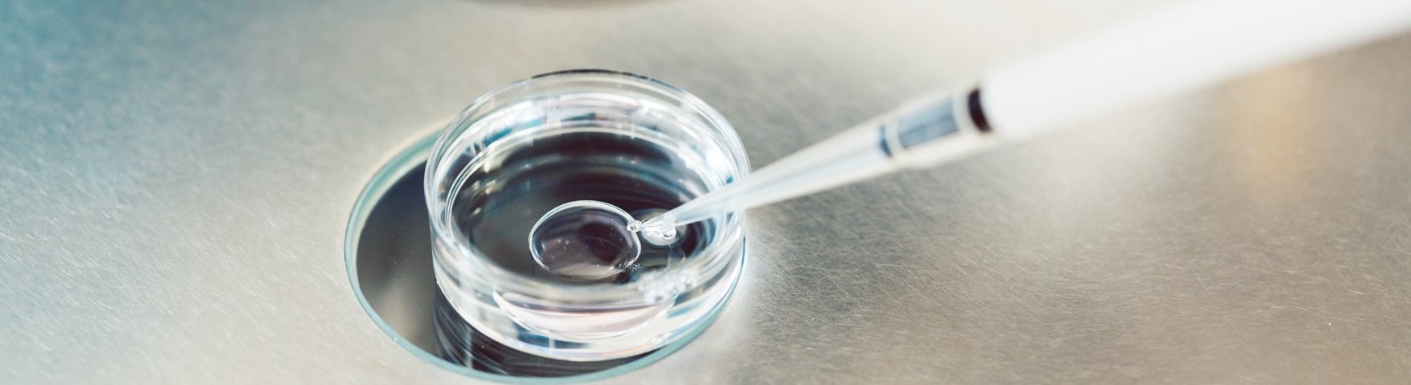 Biotecnologías Aplicadas a la Preservación y Evaluación de la Fertilidad Biotecnologías Aplicadas a la Preservación y Evaluación de la Fertilidad