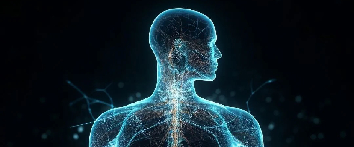 Fundamentos del análisis de la composición corporal - MOD 1